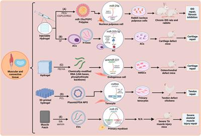 Current advances in the development of microRNA-integrated tissue engineering strategies: a cornerstone of regenerative medicine